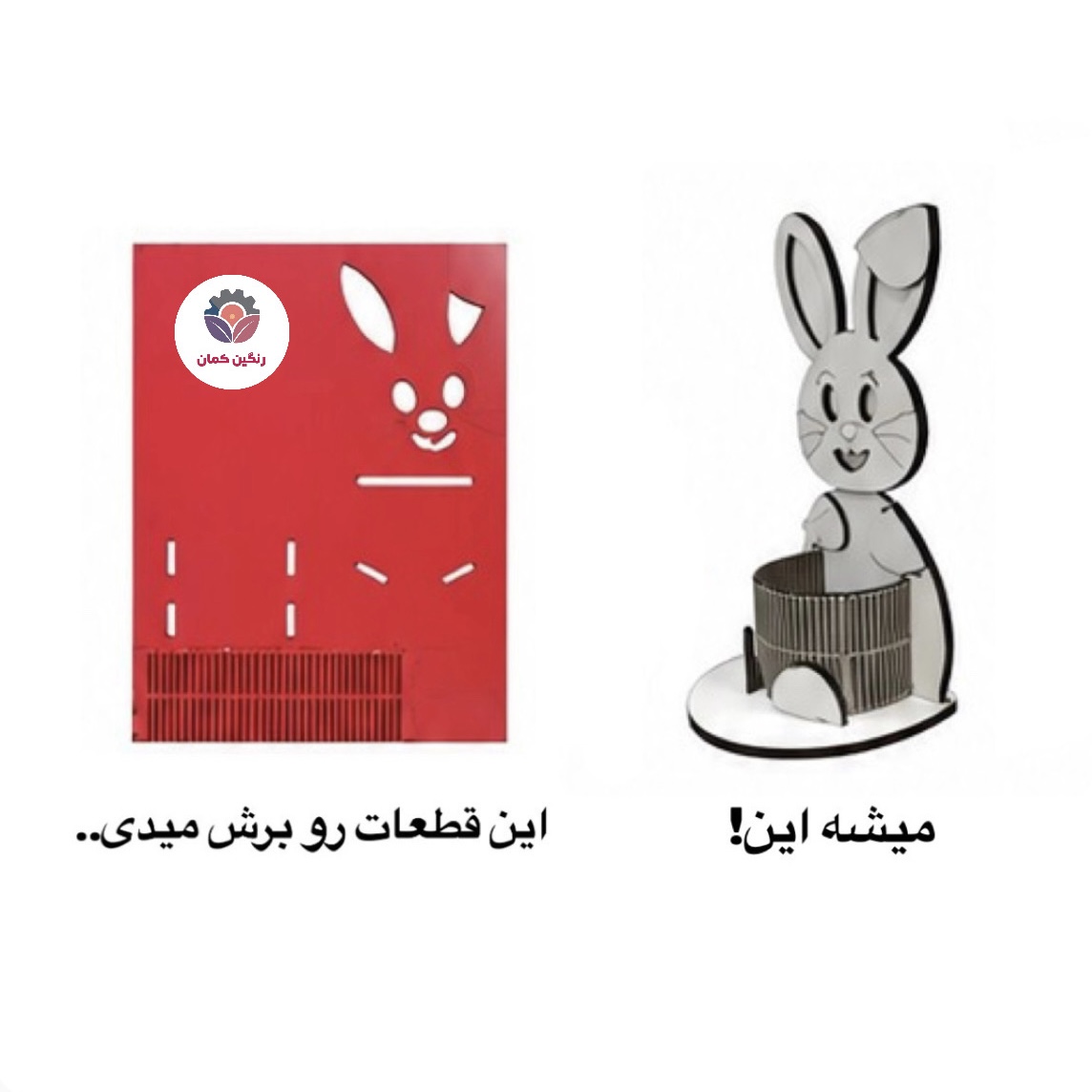 جامدادی خرگوش